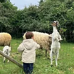 La Vieille Foulonniere : D'hotes & Permaculture Pontorson