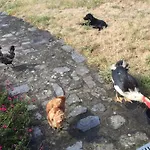 La Vieille Foulonniere : D'hotes & Permaculture Oda ve Kahvaltı 3*