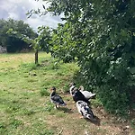 La Vieille Foulonniere : D'hotes & Permaculture