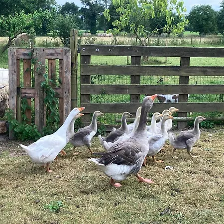La Vieille Foulonniere : D'hotes & Permaculture ポントルソン