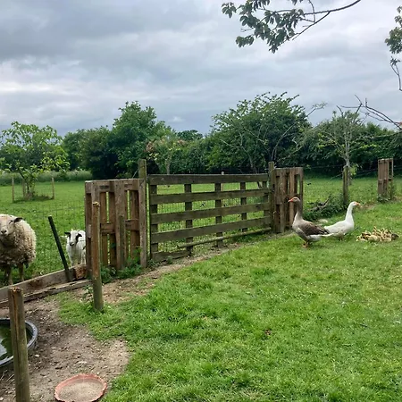 La Vieille Foulonniere : D'hotes & Permaculture 3*