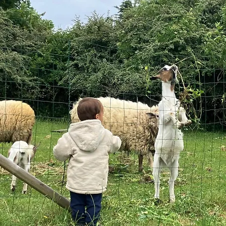 La Vieille Foulonniere : D'hotes & Permaculture Pontorson
