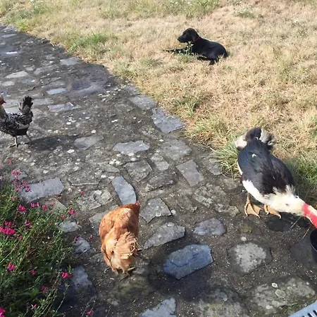 La Vieille Foulonniere : D'hotes & Permaculture ベッド・アンド・ブレックファスト 3*