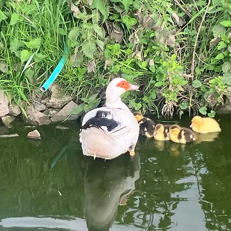 La Vieille Foulonniere : D'hotes & Permaculture 3*