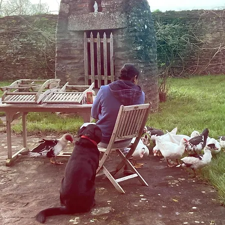 La Vieille Foulonniere : D'hotes & Permaculture ポントルソン