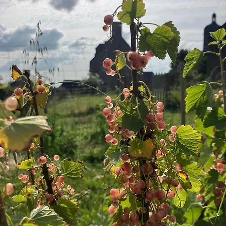 ベッド・アンド・ブレックファスト La Vieille Foulonniere : D'hotes & Permaculture