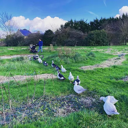 ベッド・アンド・ブレックファスト La Vieille Foulonniere : D'hotes & Permaculture 3*