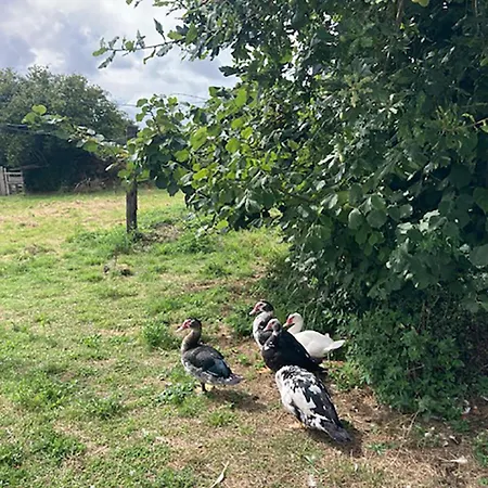 La Vieille Foulonniere : D'hotes & Permaculture