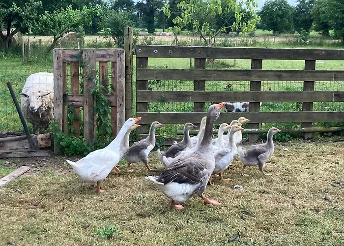 La Vieille Foulonniere : D'hotes & Permaculture Pontorson