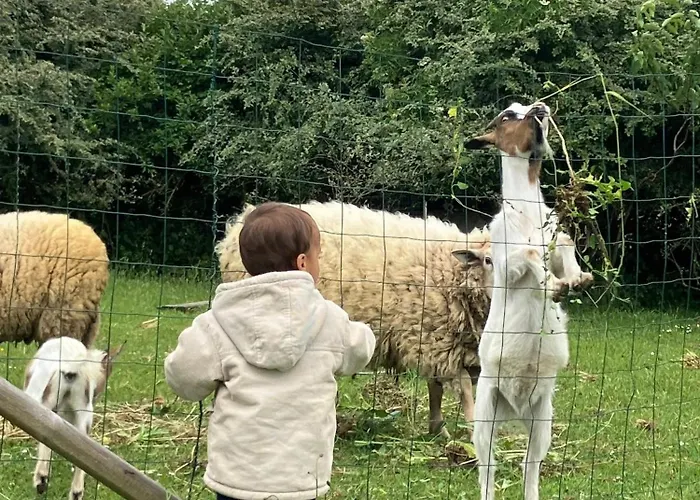 La Vieille Foulonniere : D'hotes & Permaculture Pontorson