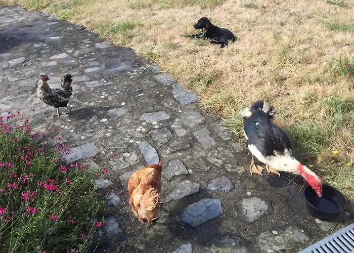 La Vieille Foulonniere : D'hotes & Permaculture Bed & Breakfast 3*