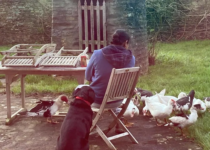 La Vieille Foulonniere : D'hotes & Permaculture Pontorson