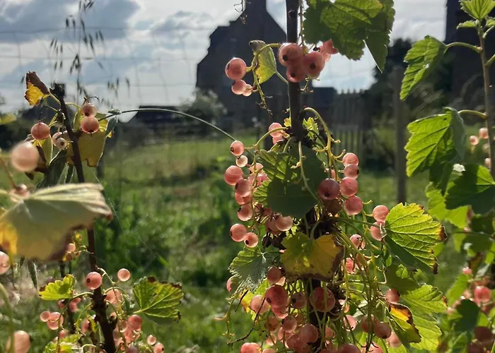 Bed & Breakfast La Vieille Foulonniere : D'hotes & Permaculture