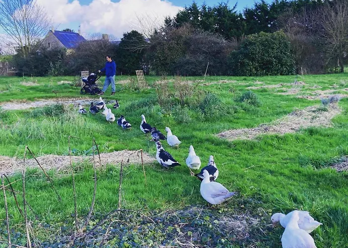 Bed & Breakfast La Vieille Foulonniere : D'hotes & Permaculture 3*