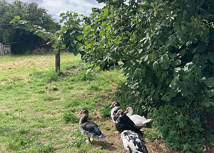 La Vieille Foulonniere : D'hotes & Permaculture